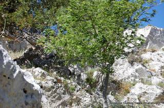 ntana Paradiso-15-05-2014 17-40-39